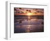 California, San Diego, Sunset Cliffs, Sunset Reflecting on a Beach-Christopher Talbot Frank-Framed Photographic Print