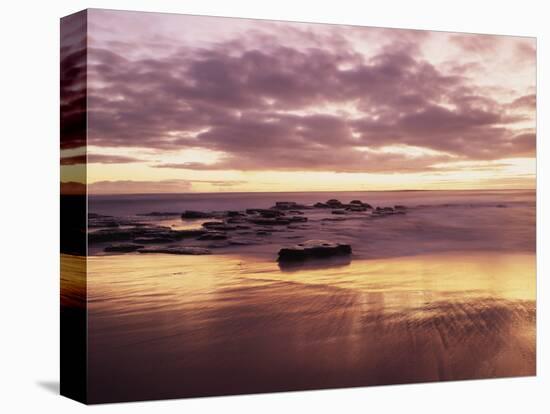 California, San Diego, Sunset Cliffs, Sunset Reflecting on a Beach-Christopher Talbot Frank-Stretched Canvas