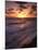 California, San Diego, Sunset Cliffs, Waves Crashing on a Beach-Christopher Talbot Frank-Mounted Premium Photographic Print