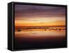 California, San Diego, Sunset over Tide Pools on the Pacific Ocean-Christopher Talbot Frank-Framed Stretched Canvas