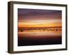 California, San Diego, Sunset over Tide Pools on the Pacific Ocean-Christopher Talbot Frank-Framed Photographic Print