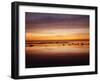 California, San Diego, Sunset over Tide Pools on the Pacific Ocean-Christopher Talbot Frank-Framed Photographic Print