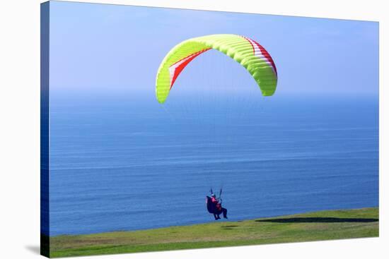 California, San Diego, Torrey Pines Gliderport. Hang Gliders Landing-Steve Ross-Stretched Canvas