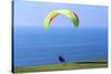 California, San Diego, Torrey Pines Gliderport. Hang Gliders Landing-Steve Ross-Stretched Canvas