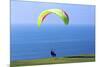 California, San Diego, Torrey Pines Gliderport. Hang Gliders Landing-Steve Ross-Mounted Premium Photographic Print