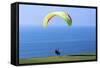 California, San Diego, Torrey Pines Gliderport. Hang Gliders Landing-Steve Ross-Framed Stretched Canvas