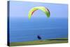 California, San Diego, Torrey Pines Gliderport. Hang Gliders Landing-Steve Ross-Stretched Canvas