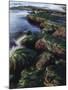 California, San Diego, Waves Crash on Eel Grass Covered Rocks-Christopher Talbot Frank-Mounted Premium Photographic Print