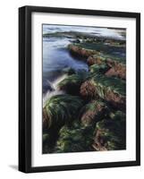 California, San Diego, Waves Crash on Eel Grass Covered Rocks-Christopher Talbot Frank-Framed Photographic Print