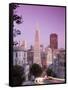 California, San Francisco, Downtown and Transamerica Building from Telegraph Hill Historic District-Alan Copson-Framed Stretched Canvas