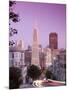 California, San Francisco, Downtown and Transamerica Building from Telegraph Hill Historic District-Alan Copson-Mounted Photographic Print