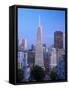 California, San Francisco, Downtown and Transamerica Building from Telegraph Hill Historic District-Alan Copson-Framed Stretched Canvas