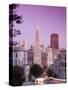 California, San Francisco, Downtown and Transamerica Building from Telegraph Hill Historic District-Alan Copson-Stretched Canvas