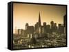 California, San Francisco, Downtown and Transamerica Building, USA-Alan Copson-Framed Stretched Canvas