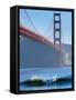 California, San Francisco, Golden Gate Bridge, USA-Alan Copson-Framed Stretched Canvas