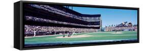 California, San Francisco, Sbc Ballpark, Spectator Watching the Baseball Game in the Stadium-null-Framed Stretched Canvas