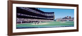 California, San Francisco, Sbc Ballpark, Spectator Watching the Baseball Game in the Stadium-null-Framed Photographic Print