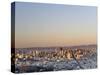 California, San Francisco, Skyline Viewed from Twin Peaks, USA-Michele Falzone-Stretched Canvas