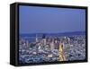 California, San Francisco, Skyline Viewed from Twin Peaks, USA-Michele Falzone-Framed Stretched Canvas