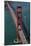 California, San Francisco, Traffic on Golden Gate Bridge-David Wall-Mounted Photographic Print