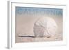 California - Sand Dollar on Beach-Lantern Press-Framed Art Print