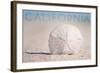 California - Sand Dollar on Beach-Lantern Press-Framed Art Print