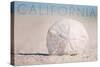 California - Sand Dollar on Beach-Lantern Press-Stretched Canvas