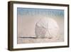 California - Sand Dollar on Beach-Lantern Press-Framed Art Print