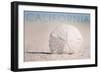 California - Sand Dollar on Beach-Lantern Press-Framed Art Print