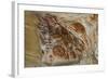 California, Santa Barbara, Chumash Painted Cave, Rock Art-Alison Jones-Framed Photographic Print