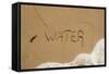 California, Santa Barbara Co, Jalama Beach, Water Written in Sand-Alison Jones-Framed Stretched Canvas