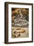 California, Santa Barbara, Montecito, Butterfly Beach, Stone Sculpture-Alison Jones-Framed Photographic Print