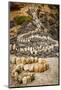 California, Santa Barbara, Montecito, Butterfly Beach, Stone Sculpture-Alison Jones-Mounted Photographic Print