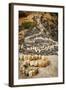 California, Santa Barbara, Montecito, Butterfly Beach, Stone Sculpture-Alison Jones-Framed Photographic Print