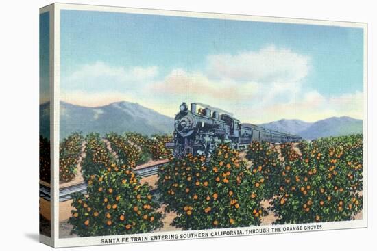 California - Santa Fe Train Passing Through Orange Groves-Lantern Press-Stretched Canvas