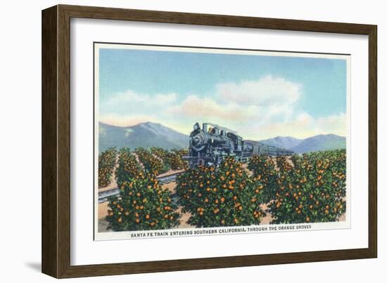 California - Santa Fe Train Passing Through Orange Groves-Lantern Press-Framed Art Print