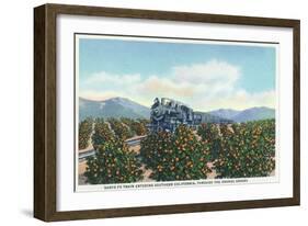 California - Santa Fe Train Passing Through Orange Groves-Lantern Press-Framed Art Print