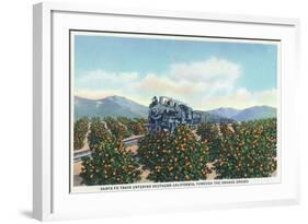 California - Santa Fe Train Passing Through Orange Groves-Lantern Press-Framed Art Print