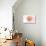 California - Scallop Shell - Coral - Coastal Icon-Lantern Press-Stretched Canvas displayed on a wall