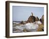 California Sea Lion-DLILLC-Framed Premium Photographic Print