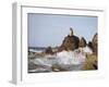 California Sea Lion-DLILLC-Framed Photographic Print