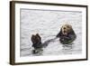 California Sea Otter-Hal Beral-Framed Photographic Print