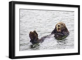 California Sea Otter-Hal Beral-Framed Photographic Print