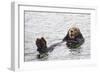 California Sea Otter-Hal Beral-Framed Photographic Print