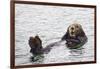 California Sea Otter-Hal Beral-Framed Photographic Print