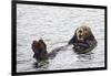 California Sea Otter-Hal Beral-Framed Photographic Print