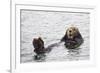 California Sea Otter-Hal Beral-Framed Photographic Print