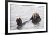 California Sea Otter-Hal Beral-Framed Photographic Print