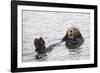 California Sea Otter-Hal Beral-Framed Photographic Print