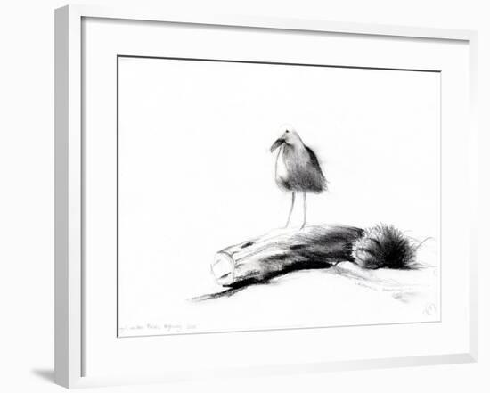 California Seagull, 2012,-Nancy Moniz Charalambous-Framed Giclee Print